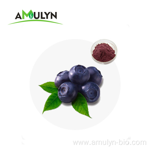 dehydratedfreeze dried blueberry powder